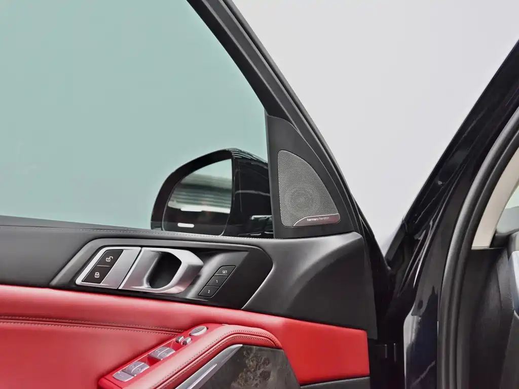 BMW X5 — миниатюра 20
