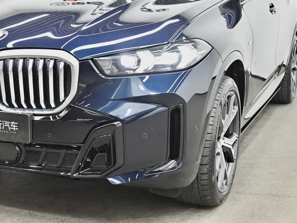 BMW X5 — миниатюра 27