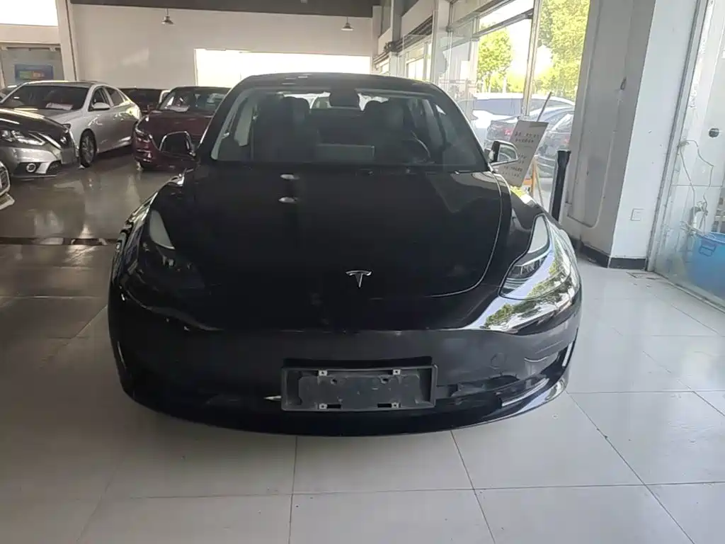 Tesla Model 3 — миниатюра 3