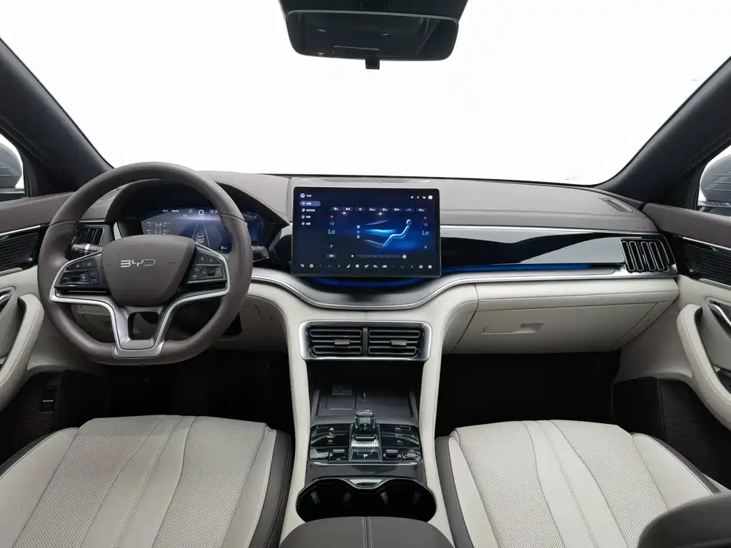 BYD PLUS New Energy — миниатюра 5