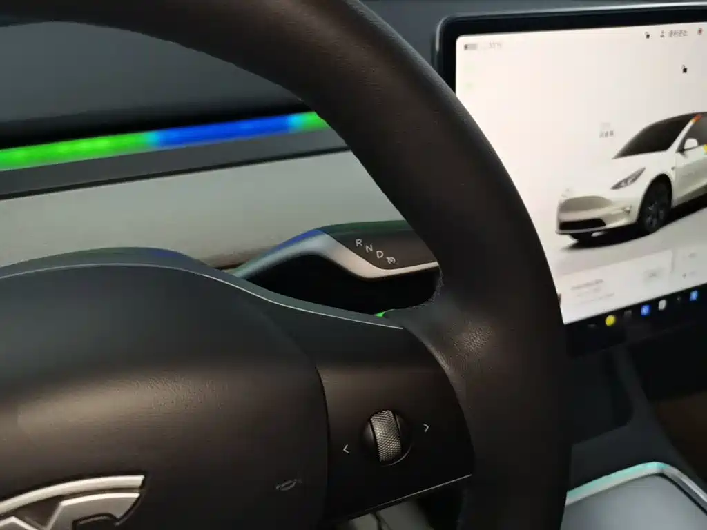 Tesla Model Y — миниатюра 14