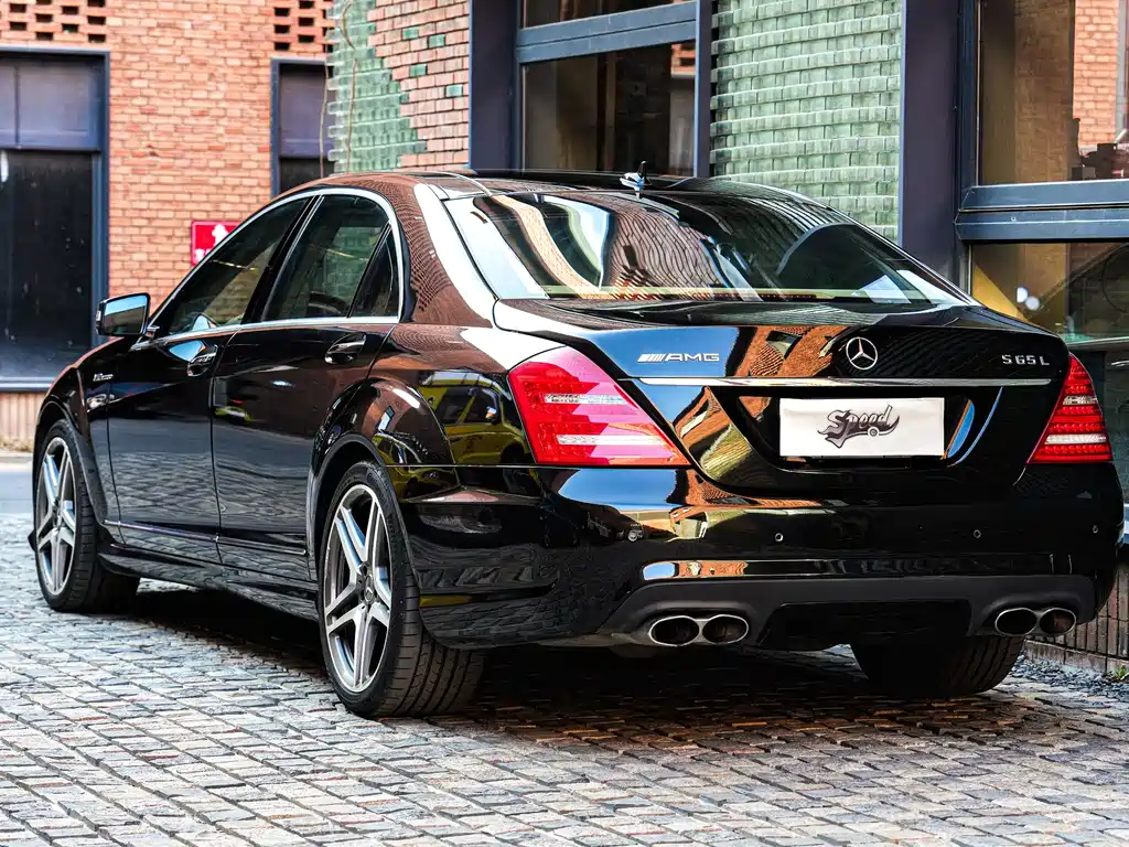 Mercedes-Benz S-Class A MG S AMG 2010 AMG S 65