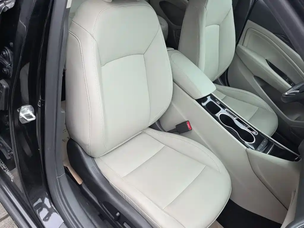 Buick Regal — миниатюра 25