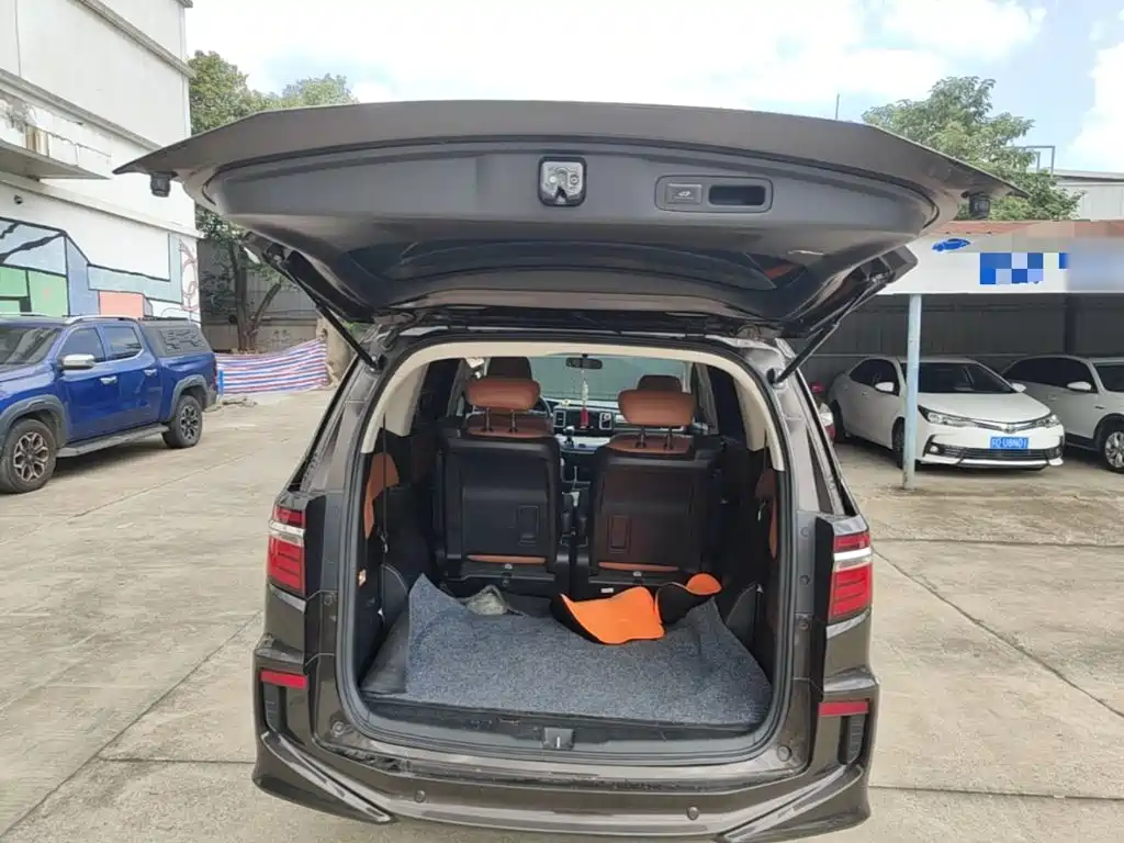 Honda Elysion — миниатюра 19