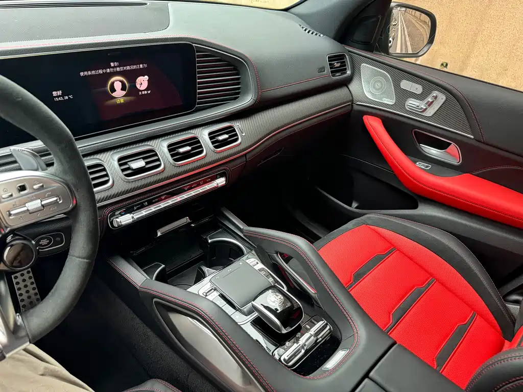 Mercedes-Benz GLE AMG — миниатюра 11