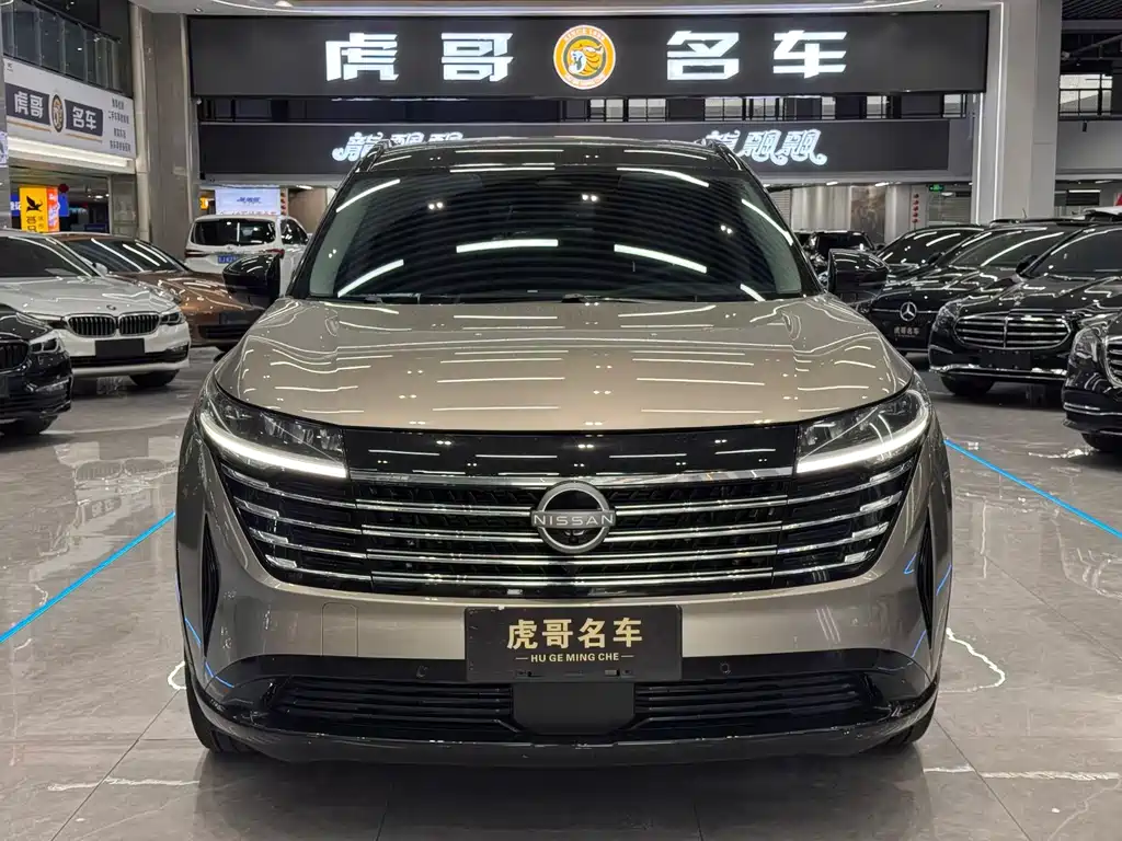 Nissan Teramont — миниатюра 2