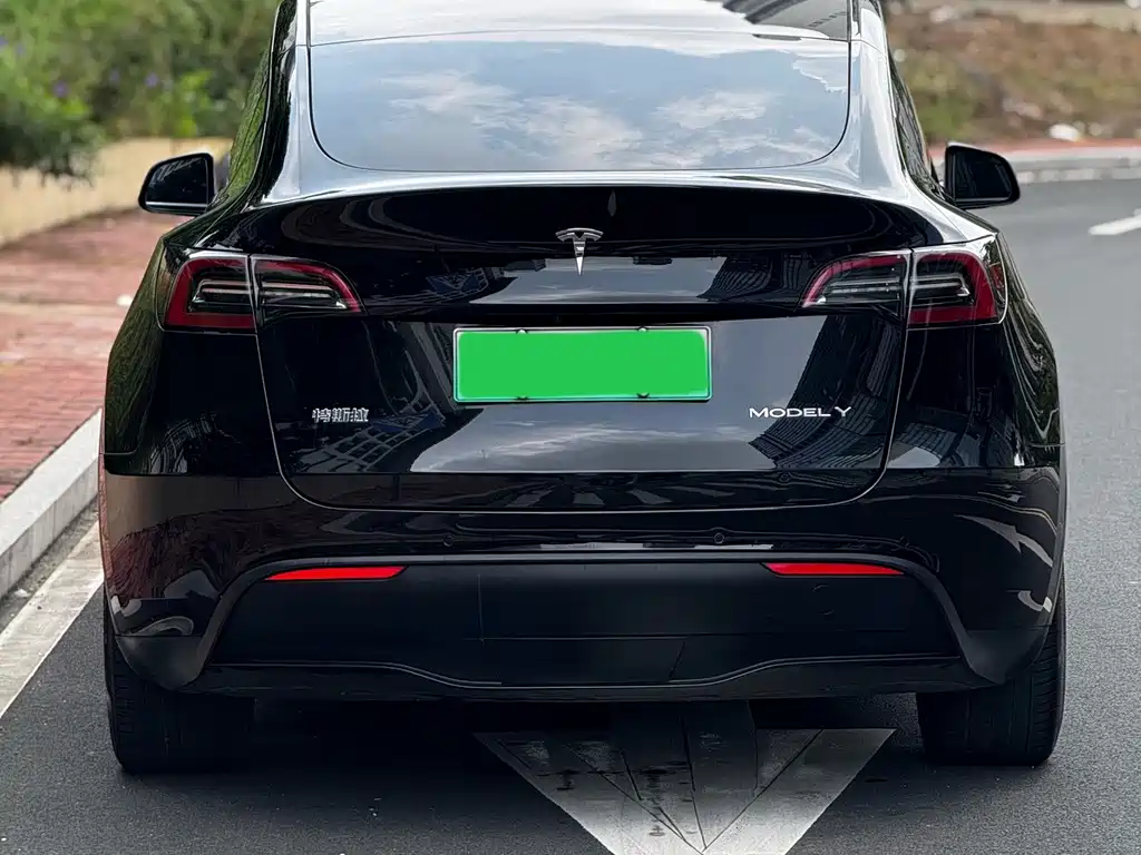 Tesla Model Y — миниатюра 16