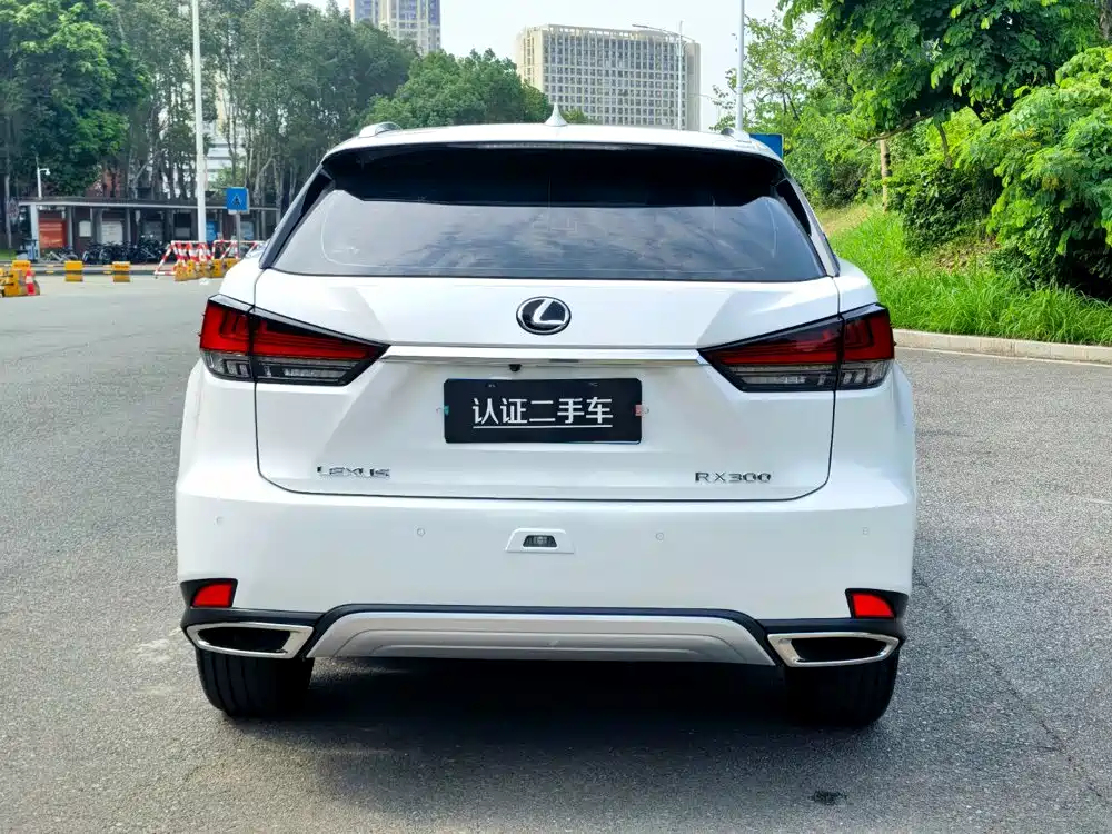 Lexus RX — миниатюра 6