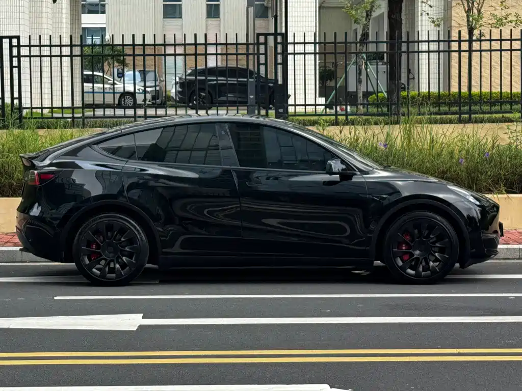 Tesla Model Y — миниатюра 14