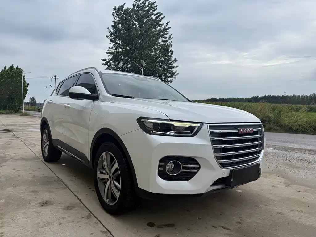 Haval H6 — миниатюра 3
