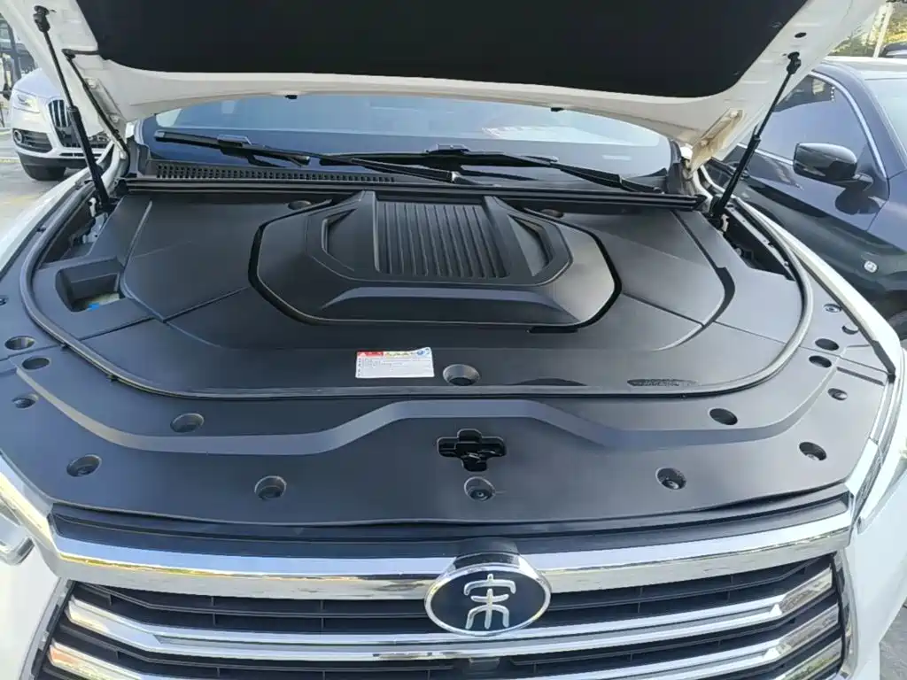 BYD Pro New Energy — миниатюра 19