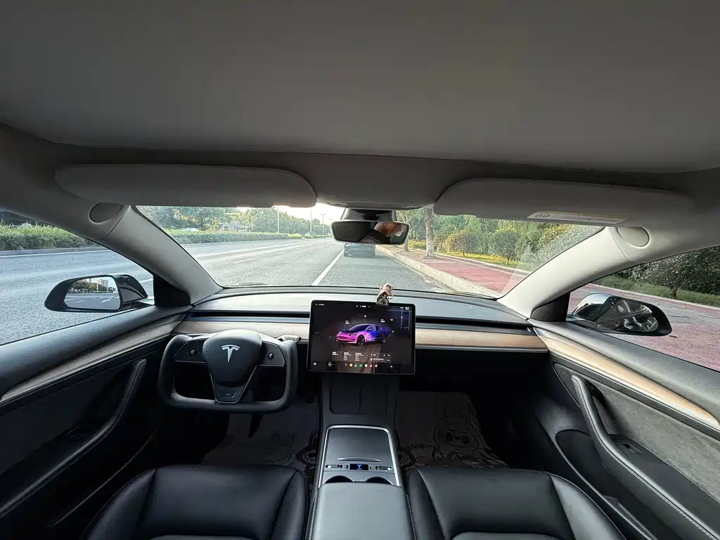Tesla Model 3 — миниатюра 15