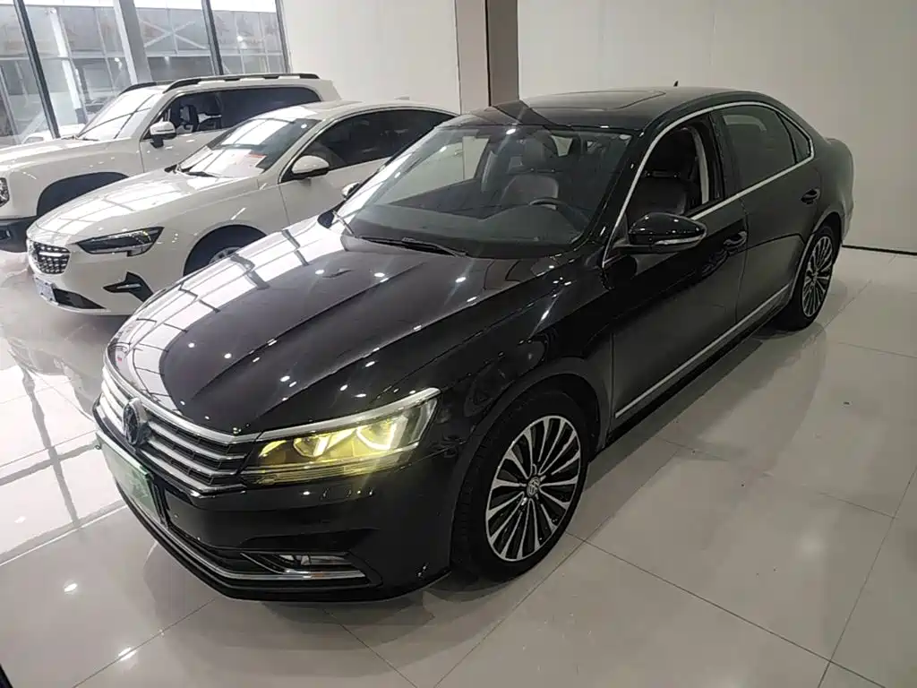 Volkswagen Passat — миниатюра 2