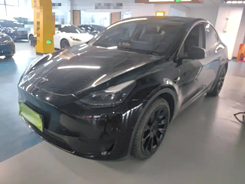 Tesla Model Y — миниатюра 2
