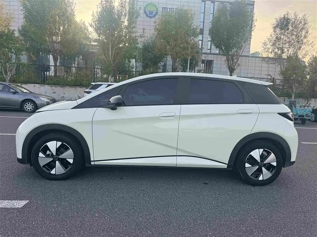 BYD Dolphin — миниатюра 15