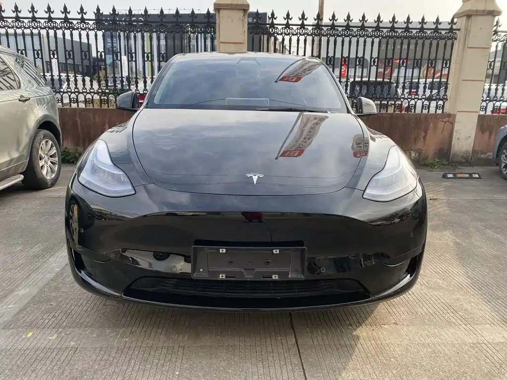 Tesla Model Y - фото 2
