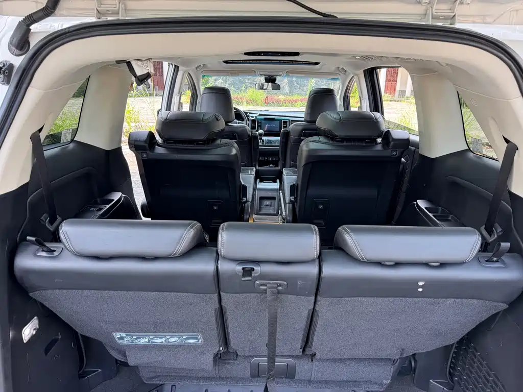 Honda Elysion 2.0L Hybrid Luxury Edition, фото 16