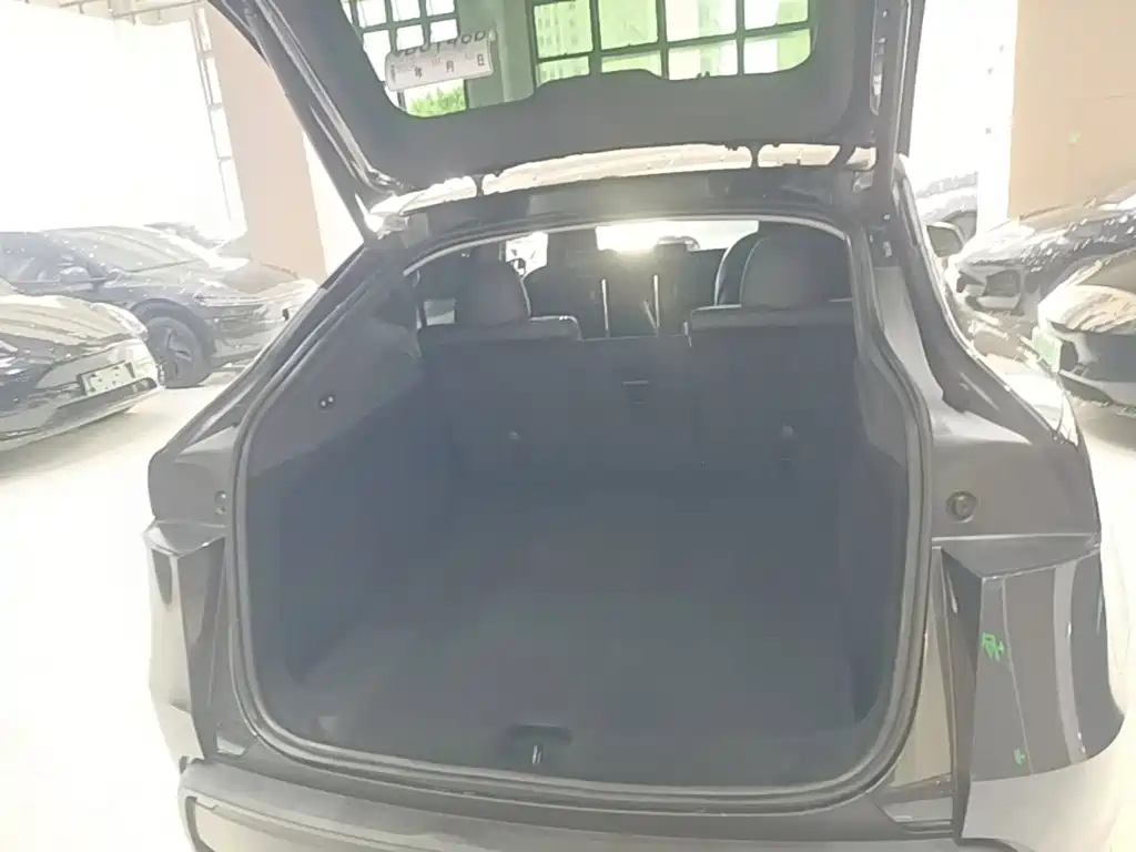 Tesla Model Y — миниатюра 19