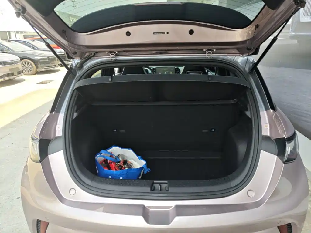 BYD Dolphin — миниатюра 19
