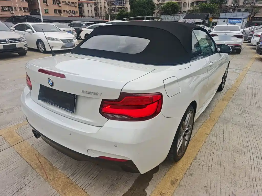 BMW 2 Series 2 2018 225i M Sport