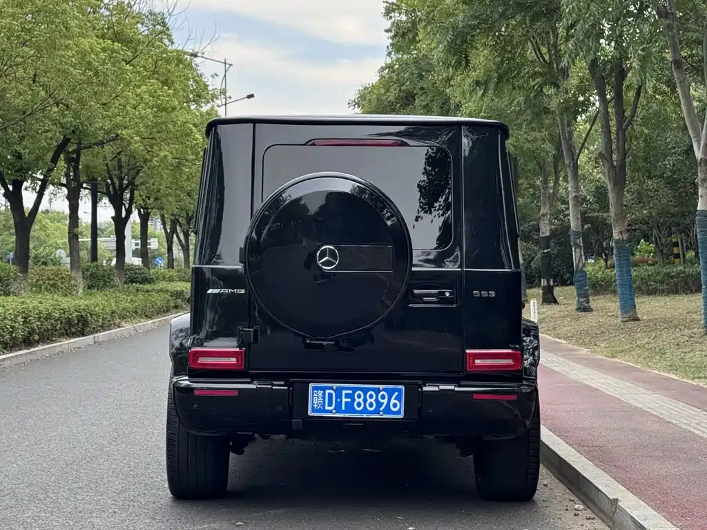 Mercedes-Benz G-Class G 2010 G 500