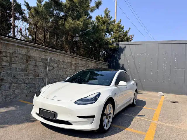 TESLA MODEL 3 2020