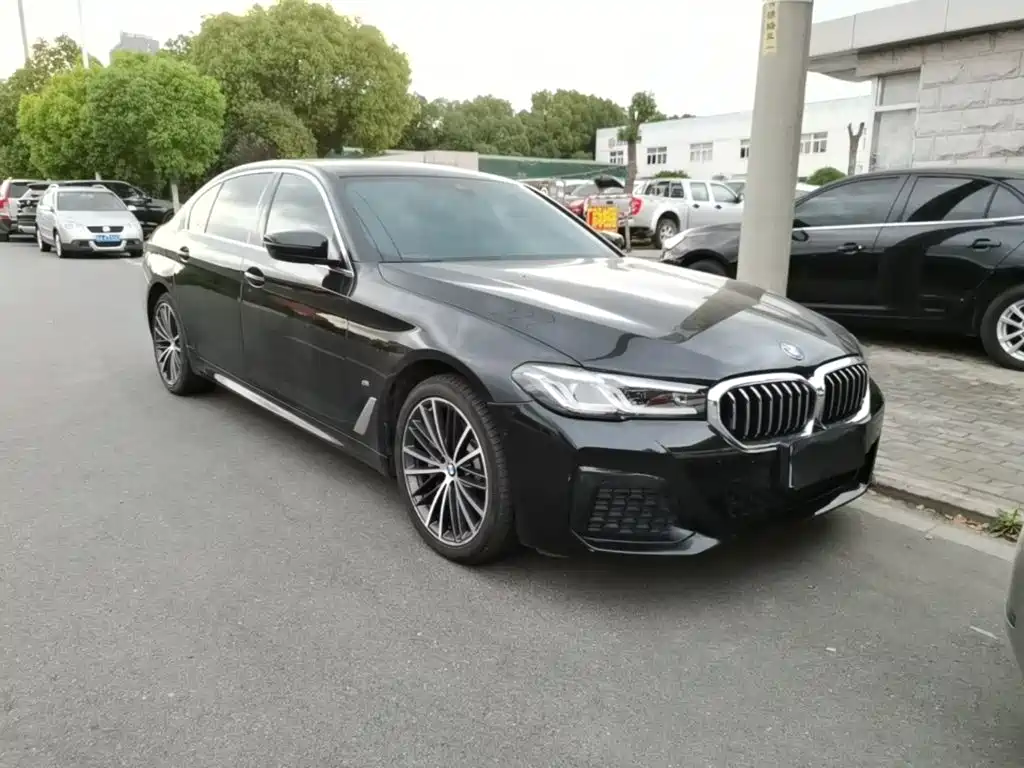 BMW 5 Series 5 2021 530Li Lead M Sport