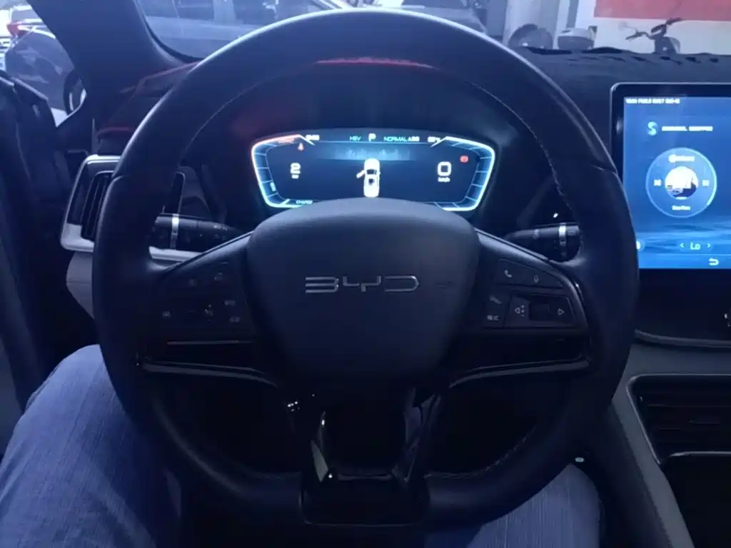 BYD PLUS New Energy — миниатюра 11