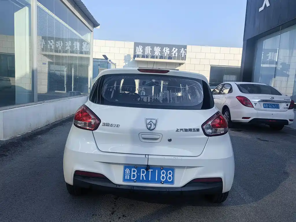 BAOJUN 310