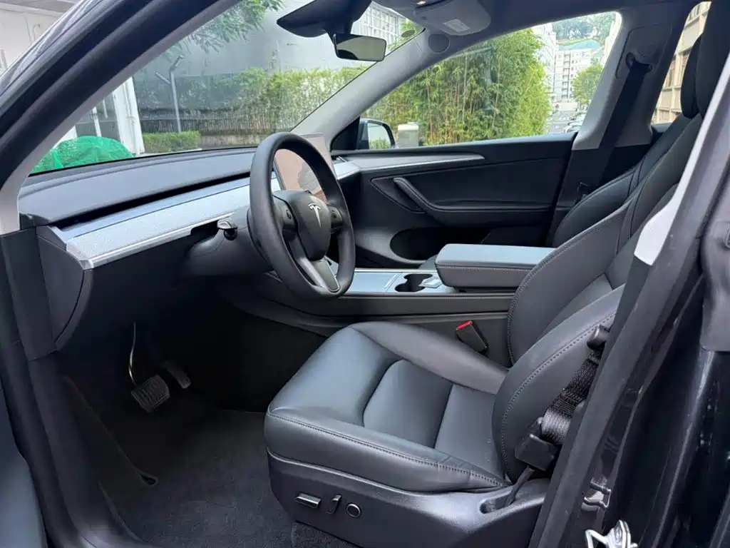 Tesla Model Y — миниатюра 4
