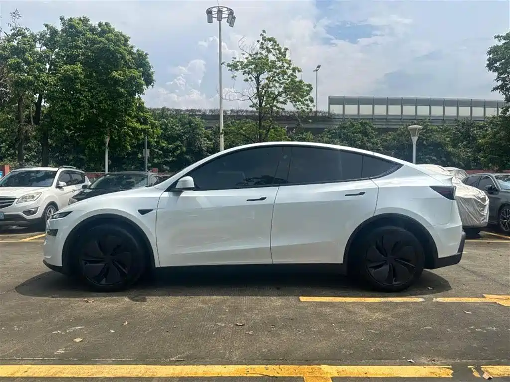 Tesla Model Y — миниатюра 9