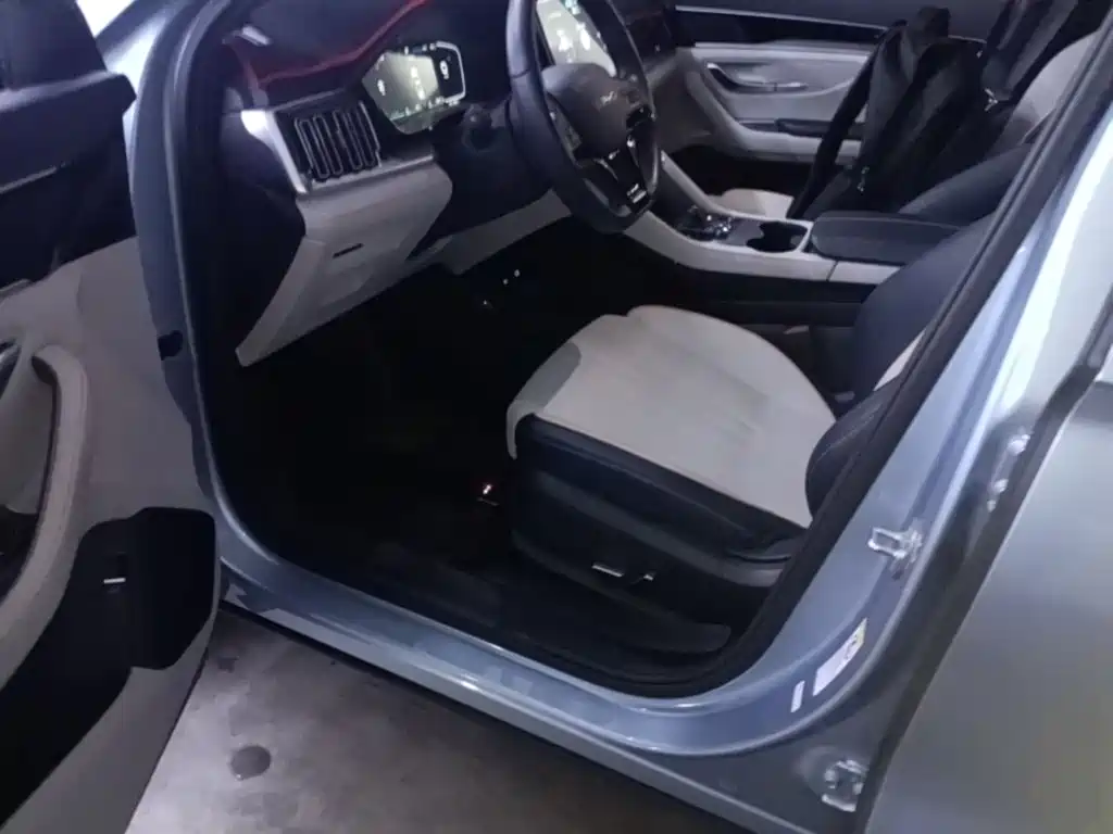 BYD PLUS New Energy — миниатюра 16