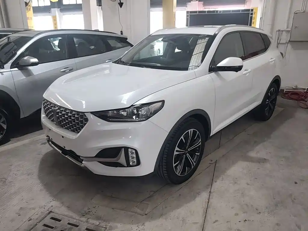 Wey Wey VV6