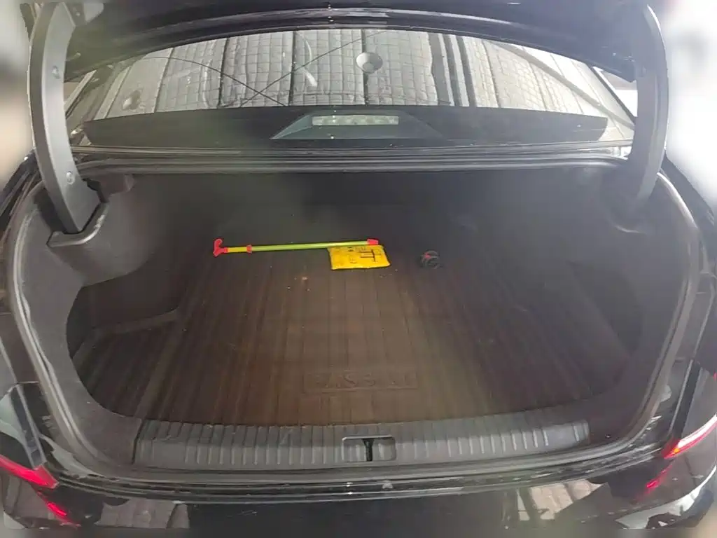 Volkswagen Passat — миниатюра 24