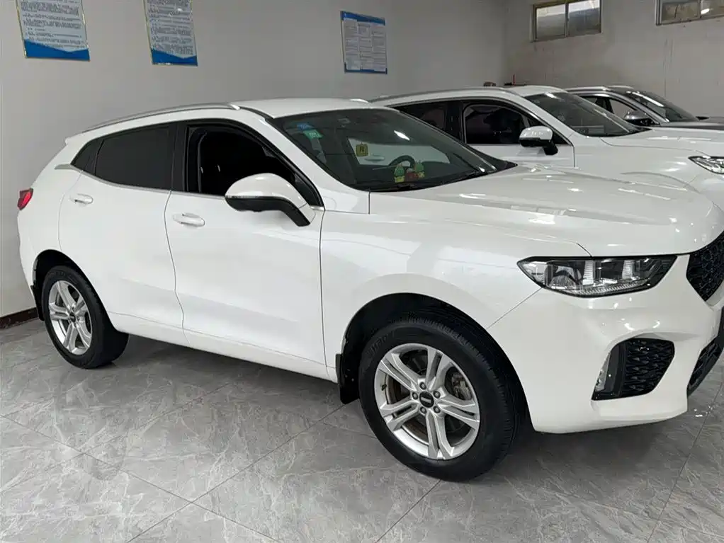 WEI PAI WEI BRAND VV5