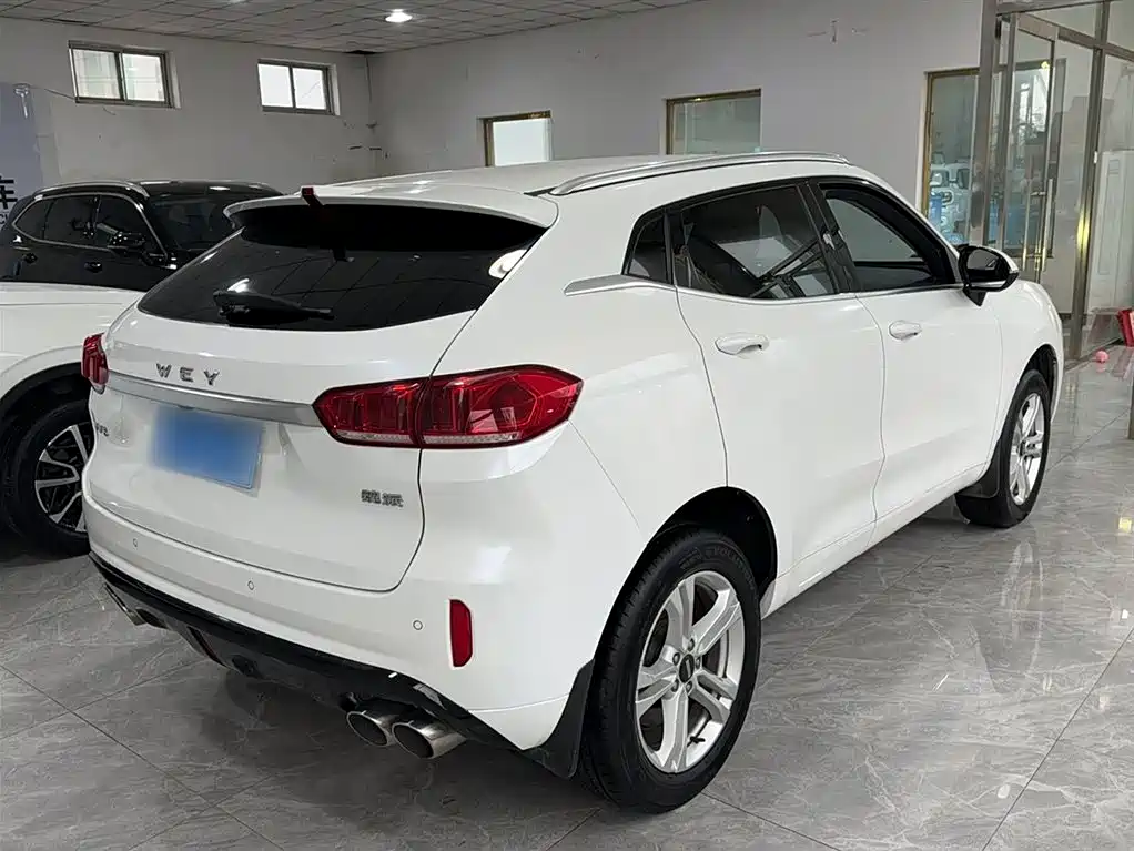 WEI PAI WEI BRAND VV5