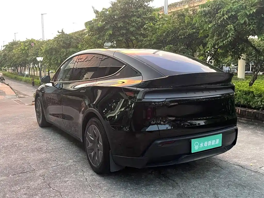 Tesla Model Y L — миниатюра 13