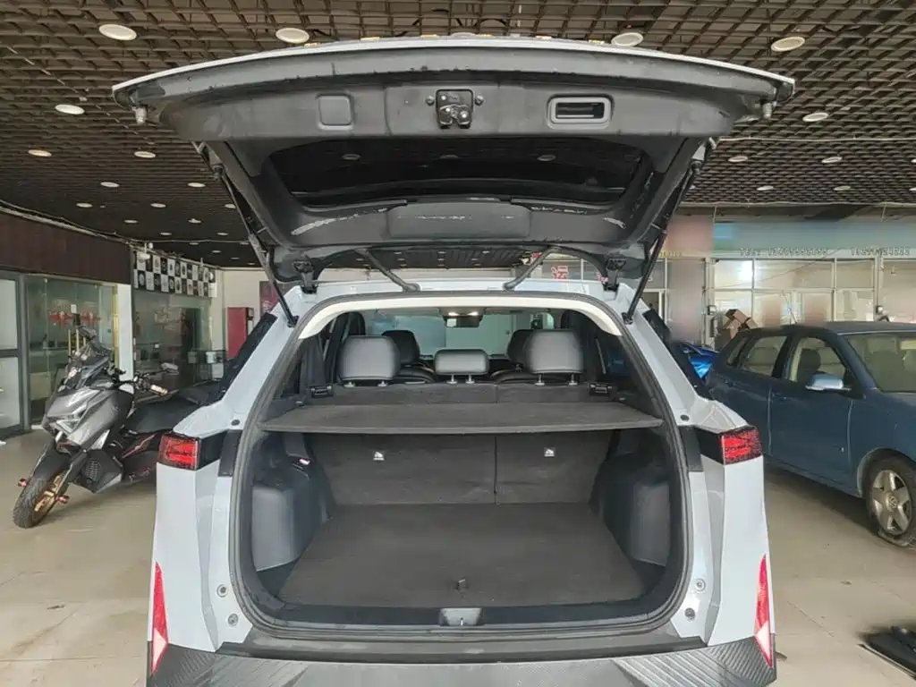 Venucia VX6 — миниатюра 19