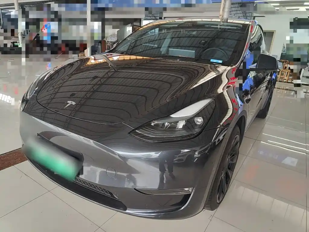 Tesla Model Y — миниатюра 2