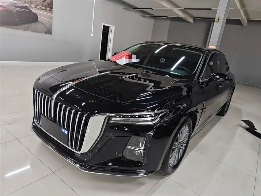 Hongqi Hongqi H5 2024