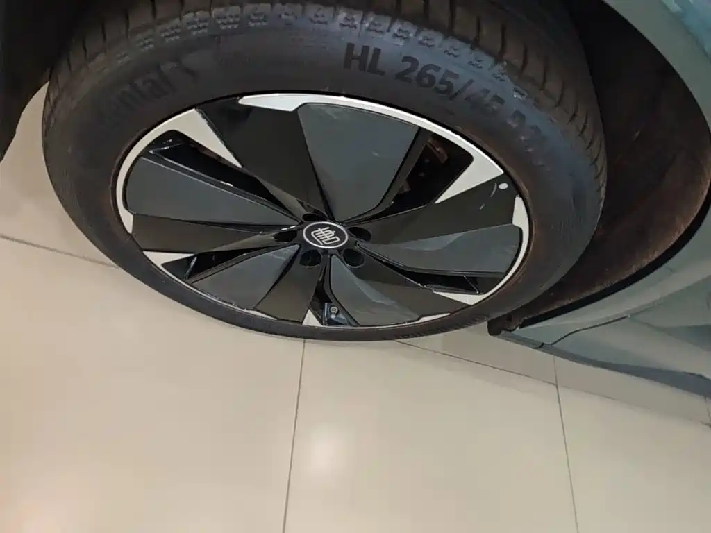 BYD Дон Л. — миниатюра 23