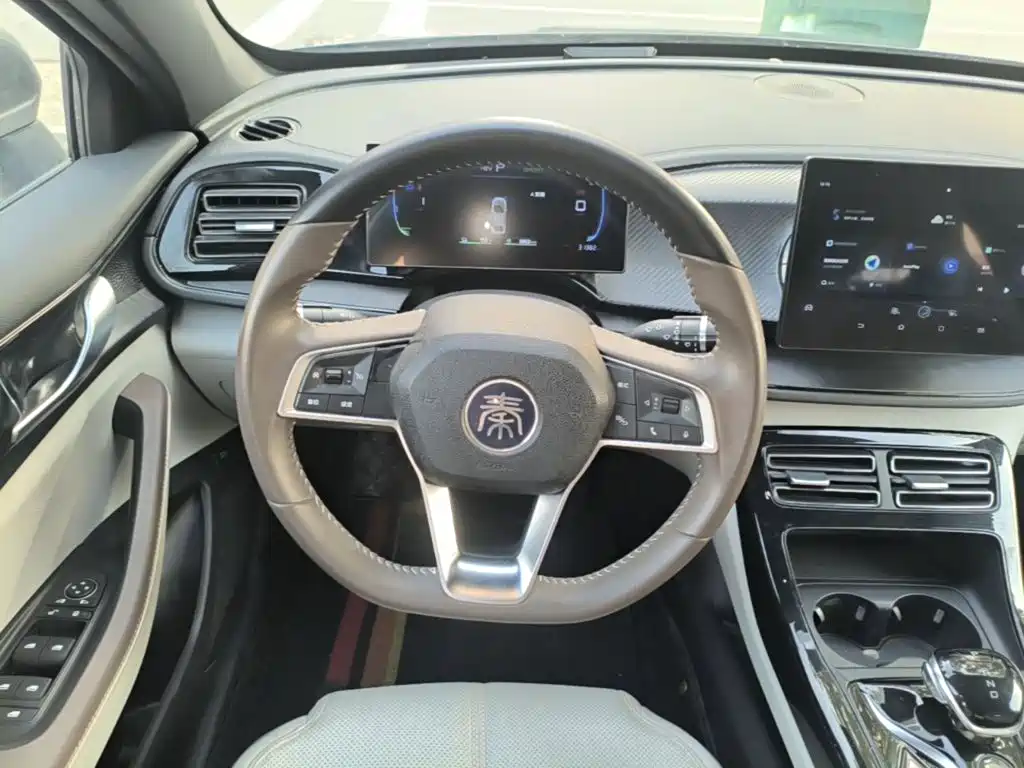 BYD Qin Plus 2024 — фото 10