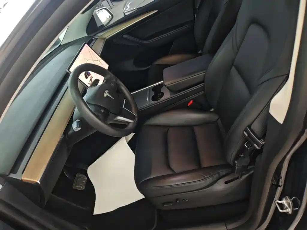 Tesla Model Y — миниатюра 15