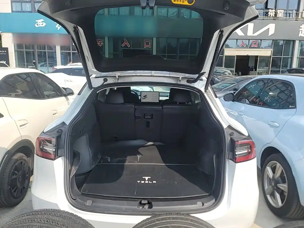 Tesla Model Y — миниатюра 19