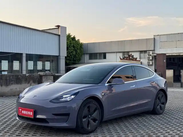 TESLA MODEL 3 2020