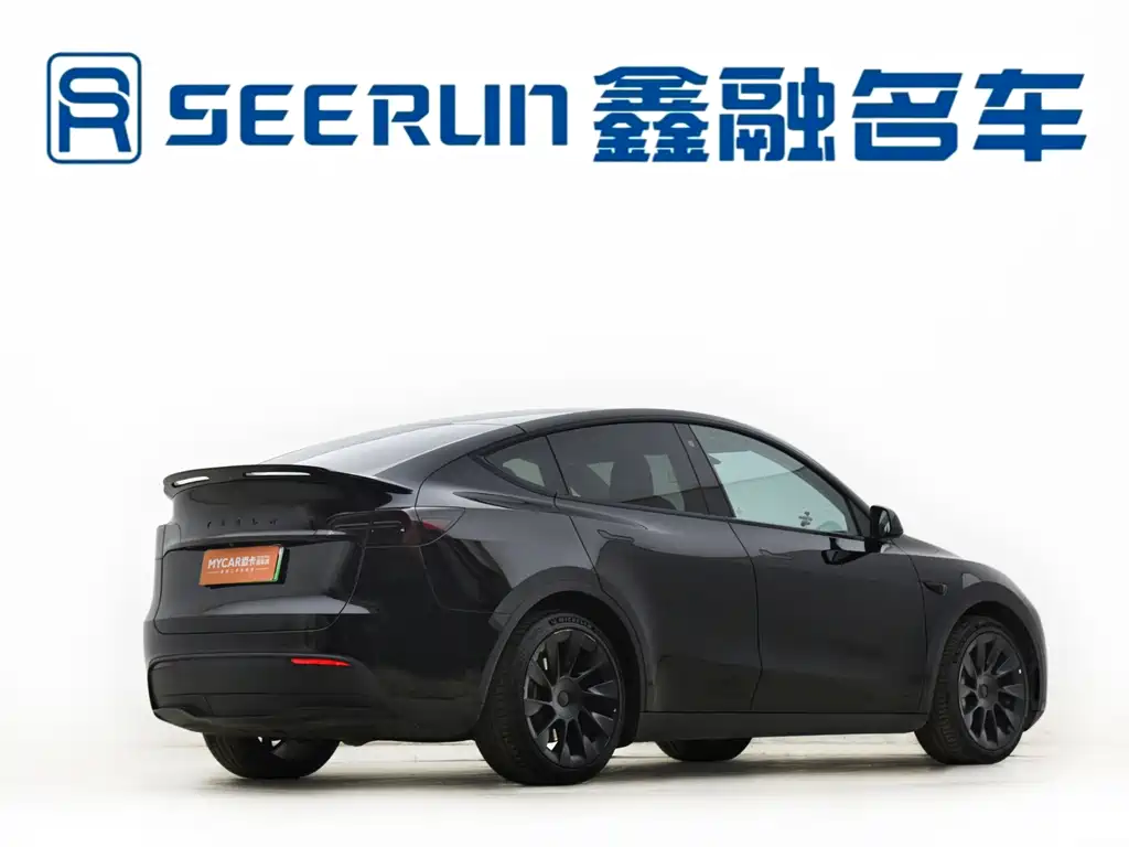 Tesla Model Y — миниатюра 20