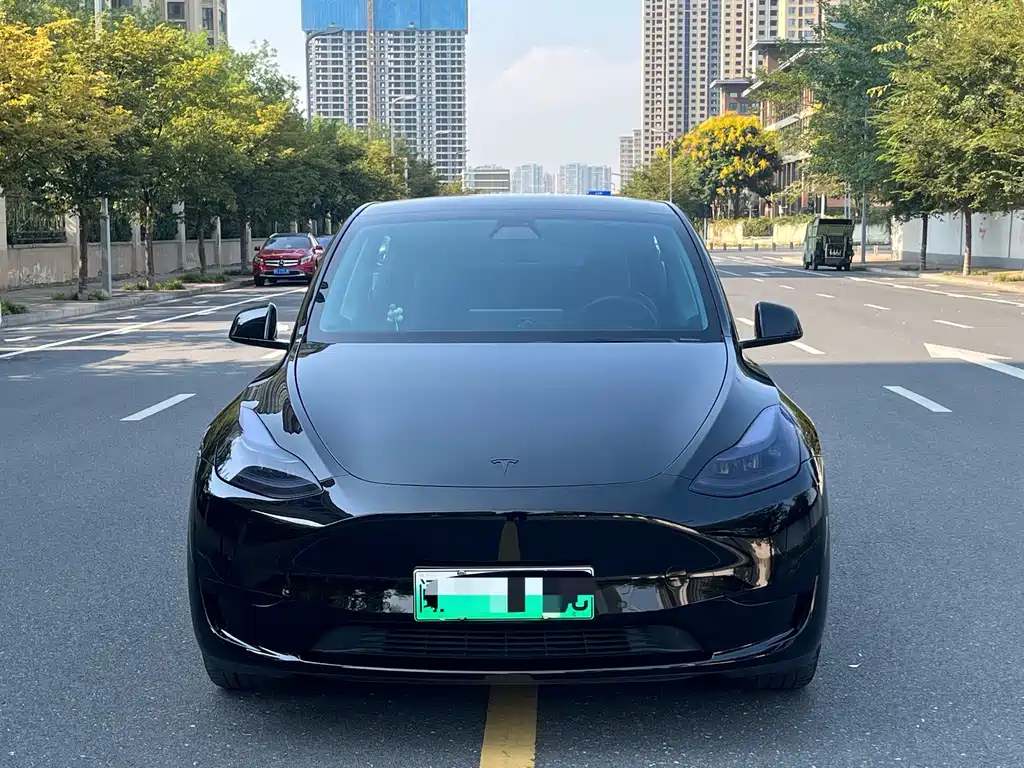 Tesla Model Y — миниатюра 3