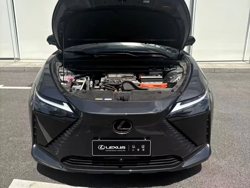 Lexus RZ — миниатюра 12