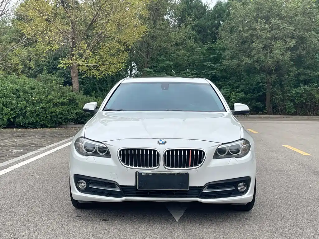 BMW 5 Series — миниатюра 2
