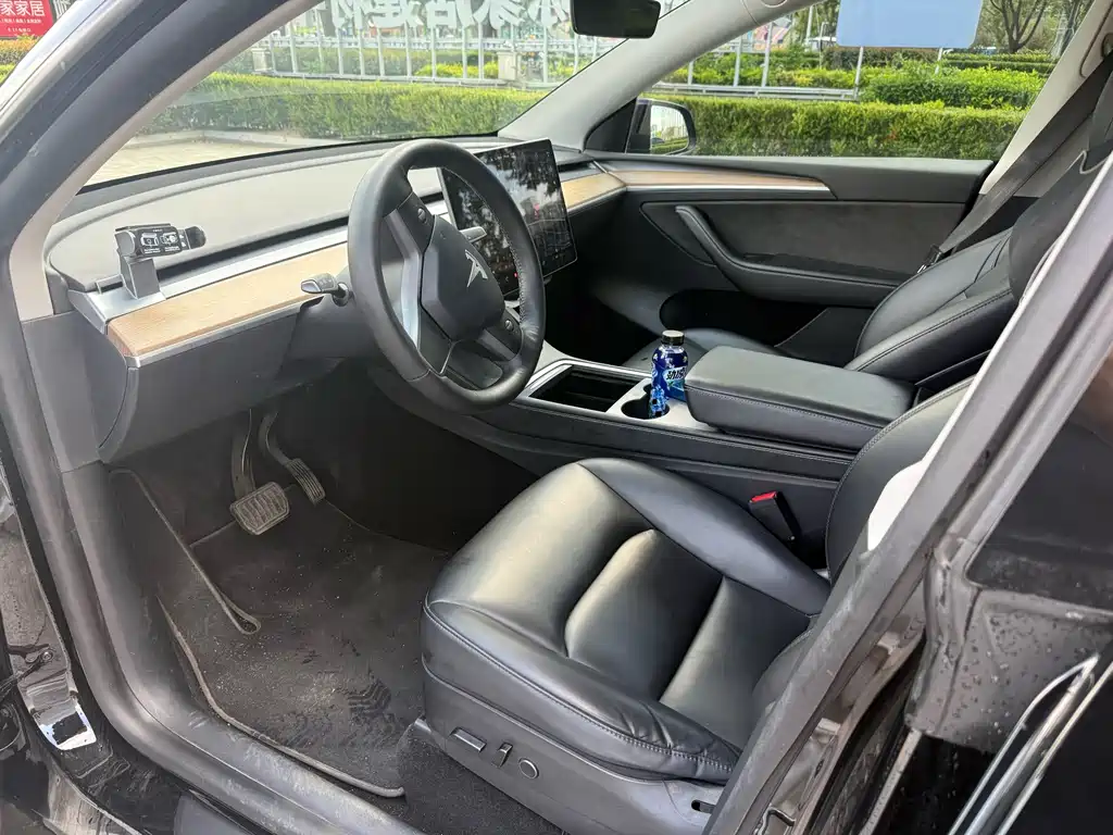 Tesla Model Y — миниатюра 4